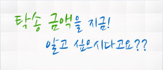금액조회